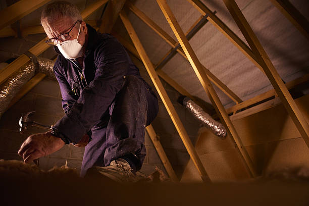 Best Insulation Maintenance and Repair in Tton, IL