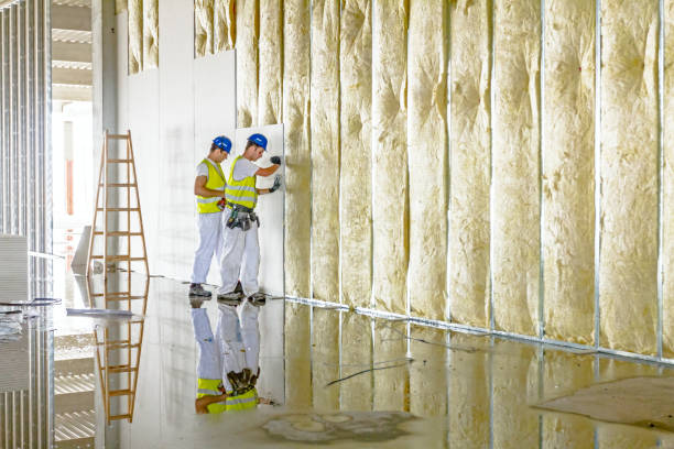  Tton, IL Insulation Contractor Pros